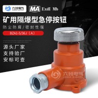 掘進機急停開關急停按鈕BZA1-5/36J（A修復機急停按鈕